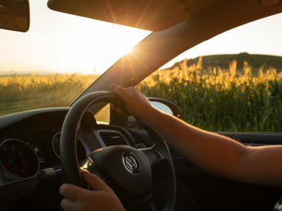 Зображення до статті від Milada Vigerova